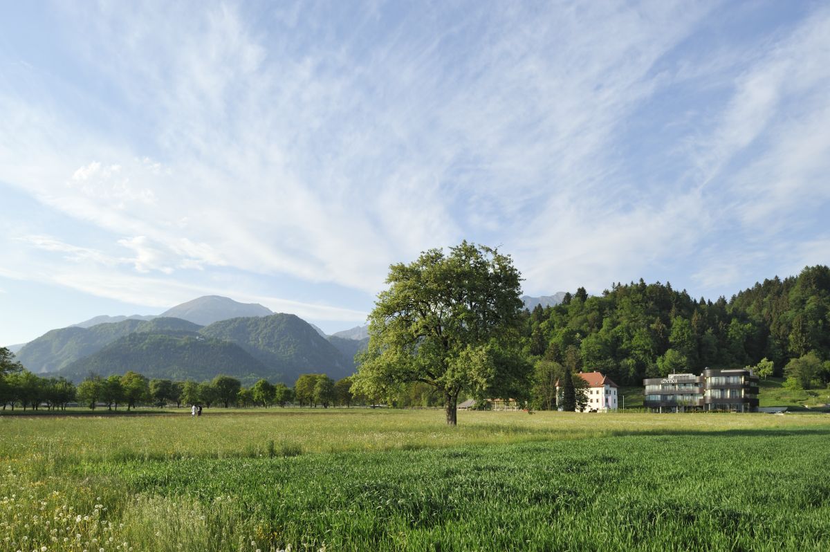 Dvorec Drnča na radovljiški ravnini